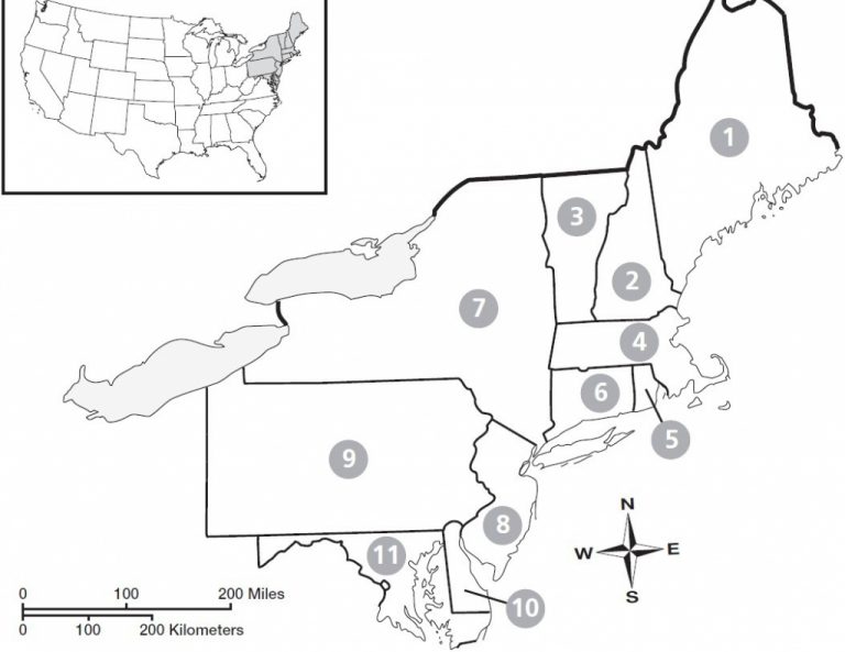Blank Map Of Northeast States Northeastern Us Maps Throughout Region | Printable Northeast Us ...