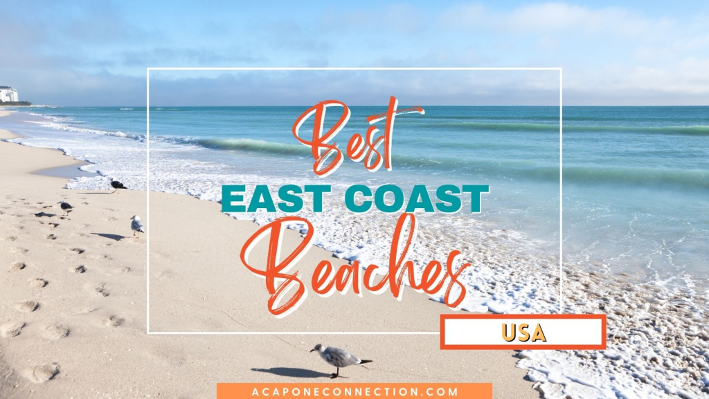 14 Best Beaches On The East Coast Usa - A Capone Connection | Map of East Coast Beaches USA