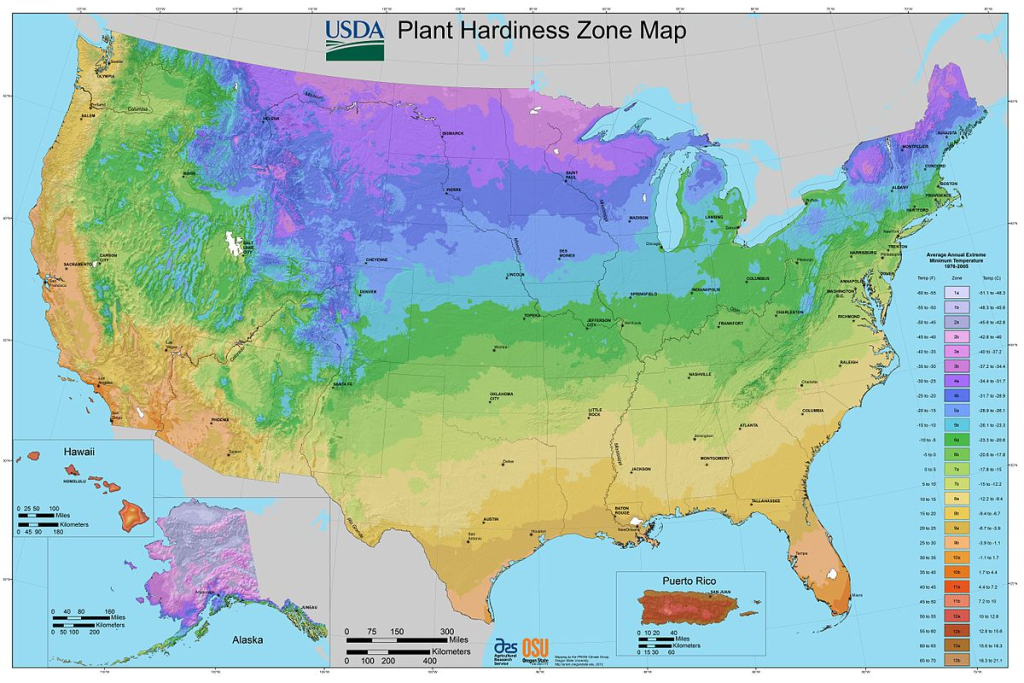 Datei:2012 Usda Plant Hardiness Zone Map (Usa) – Wikipedia | Map Of Planting Zones In Usa