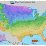 File:2012 Usda Plant Hardiness Zone Map (Usa)   Wikimedia Commons | Map Of Growing Zones In USA