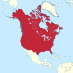 File:map Of Canada And The United States Of America Combined | World Map Of Usa And Canada
