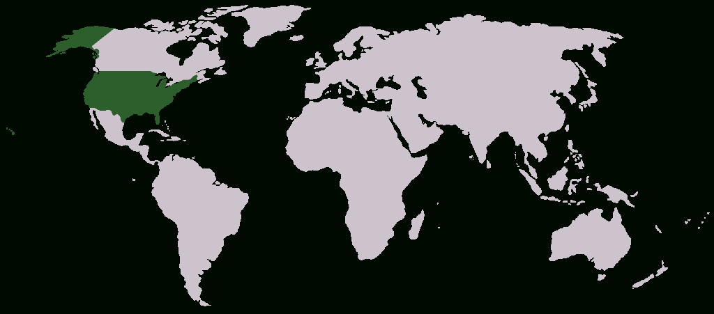 File:united States (World Map) - Wikimedia Commons | Map of USA in World Map