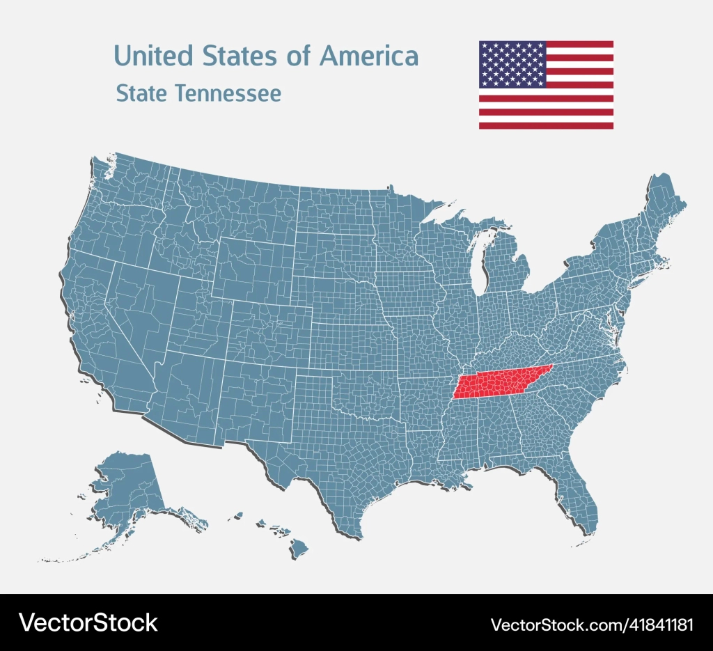 Landkarte Land Usa Und Staat Tennessee Lizenzfreier Vektor | Tennessee on Map of USA
