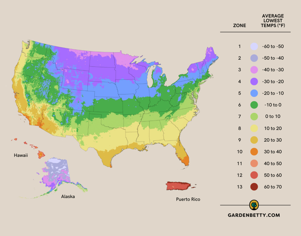 Look Up Your Growing Zone And State Map Of Usda Hardiness Zones | Map Of Growing Zones In Usa