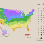 Look Up Your Growing Zone And State Map Of Usda Hardiness Zones | Map Of Growing Zones USA