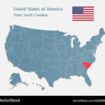 Map Country Usa And State South Carolina Vector Image | South Carolina On Map Of USA