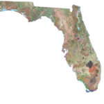 Map Of Florida   Cities And Roads   Gis Geography | Free Printable Map Of Florida USA