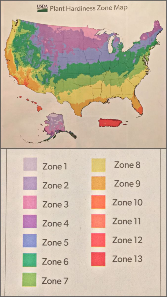 Plant Hardiness Zones Across The United States | Map Of Planting Zones In Usa