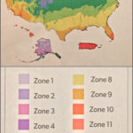 Plant Hardiness Zones Across The United States | Map Of USA Growing Zones