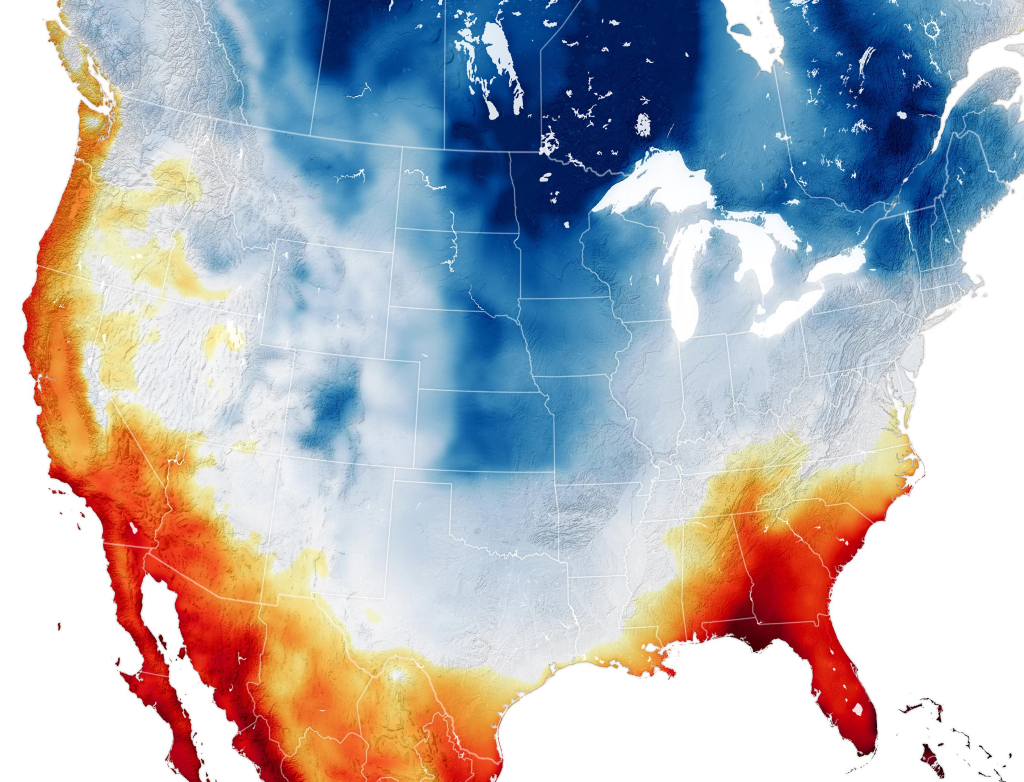 Snowpocalypse 2025: How A Massive Storm Froze The U.s. In Its Tracks | Map of Snow Storm in USA