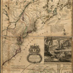 The Exotic Animals Of The Americas | Worlds Revealed | Exotic Map Of The Usa