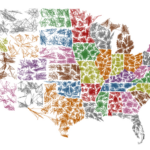 The Us Zipscribble Map   Eagereyes | Map Of USA With Zip Codes