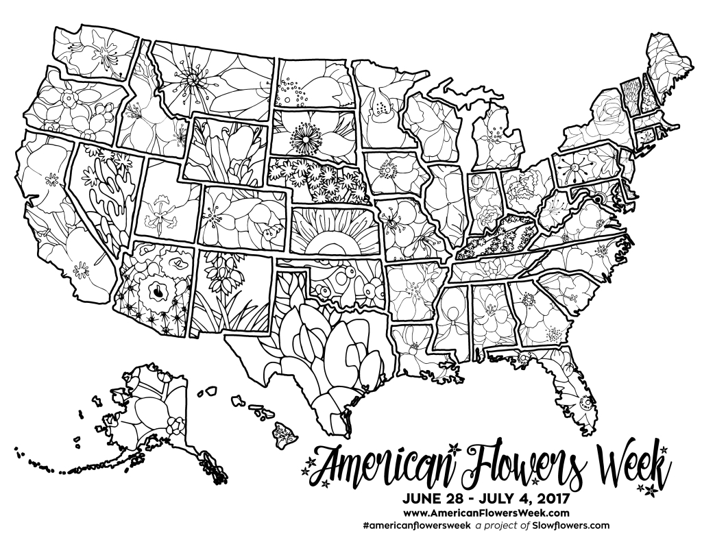 Usa Map Of State Flowers – Free Promotional Material For American | Coloring Pages Of Usa Map