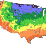 What Is My Hardiness Growing Zone?   Look Up My Growing Zone | Map Of Planting Zones USA
