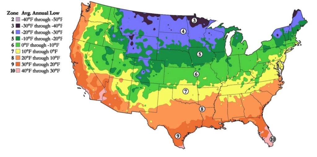 What Is My Hardiness Growing Zone? - Look Up My Growing Zone | Map of Planting Zones USA